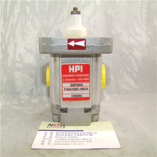 HPI PUMP P1BAN1005FL10B01N