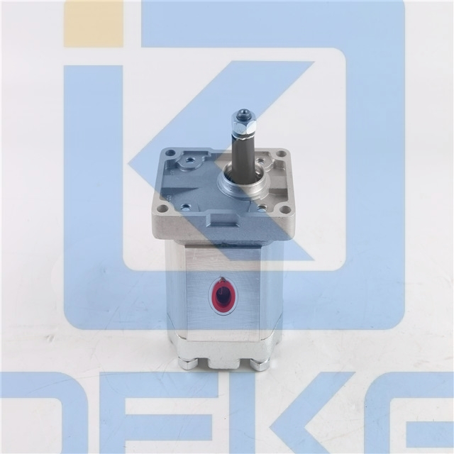 BUCHER Gear Pump AP212/11D818